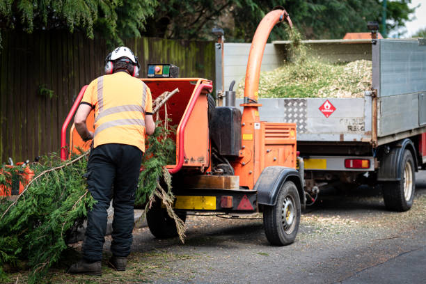 Lawn Grading and Leveling in Waihee Waiehu, HI